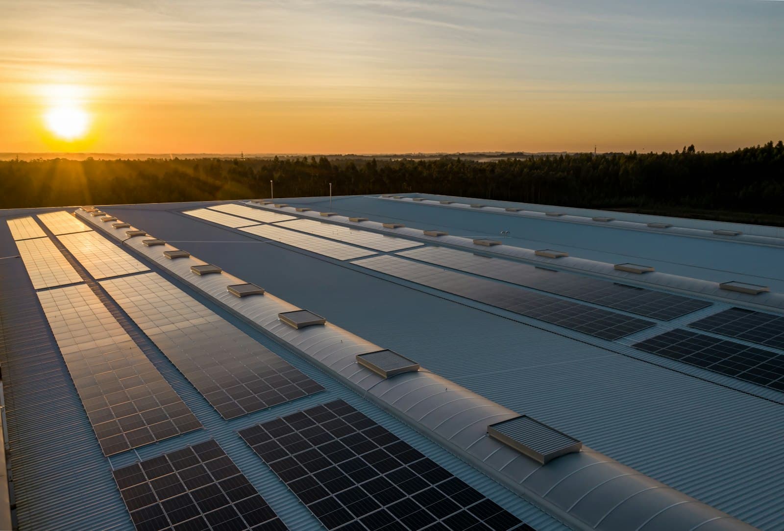 Rows of solar panels on a commercial rooftop at sunset